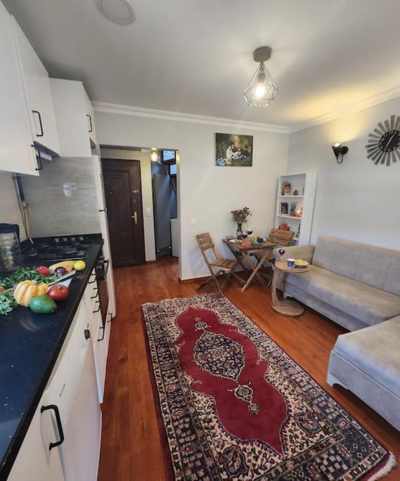Apartament Taksim Private Terrace Close To Antique Store Galata Port Cihangir Istanbul