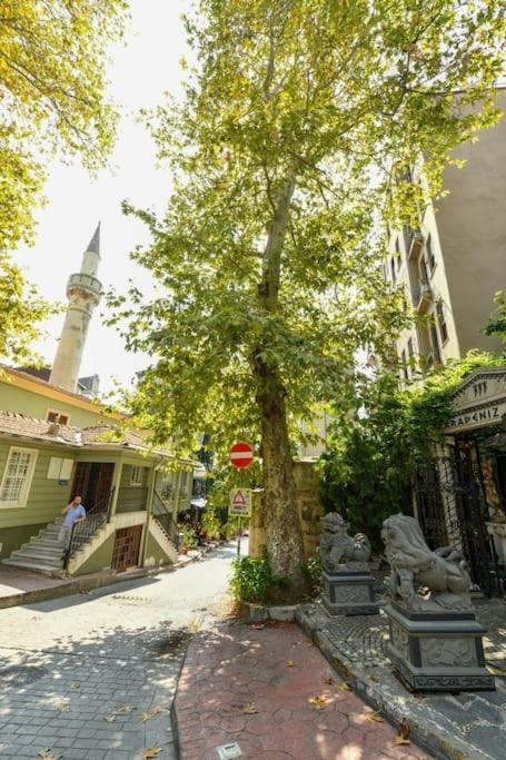 Taksim Private Terrace Close To Antique Store Galata Port Cihangir Daire *